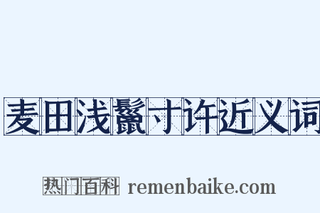 麦田浅鬣寸许近义词是什么意思的图片